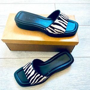 Zebra Slide
